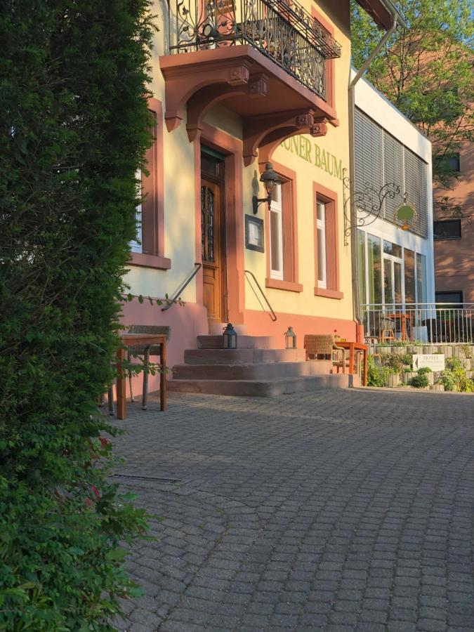 Grüner Baum Merzhausen Exterior foto