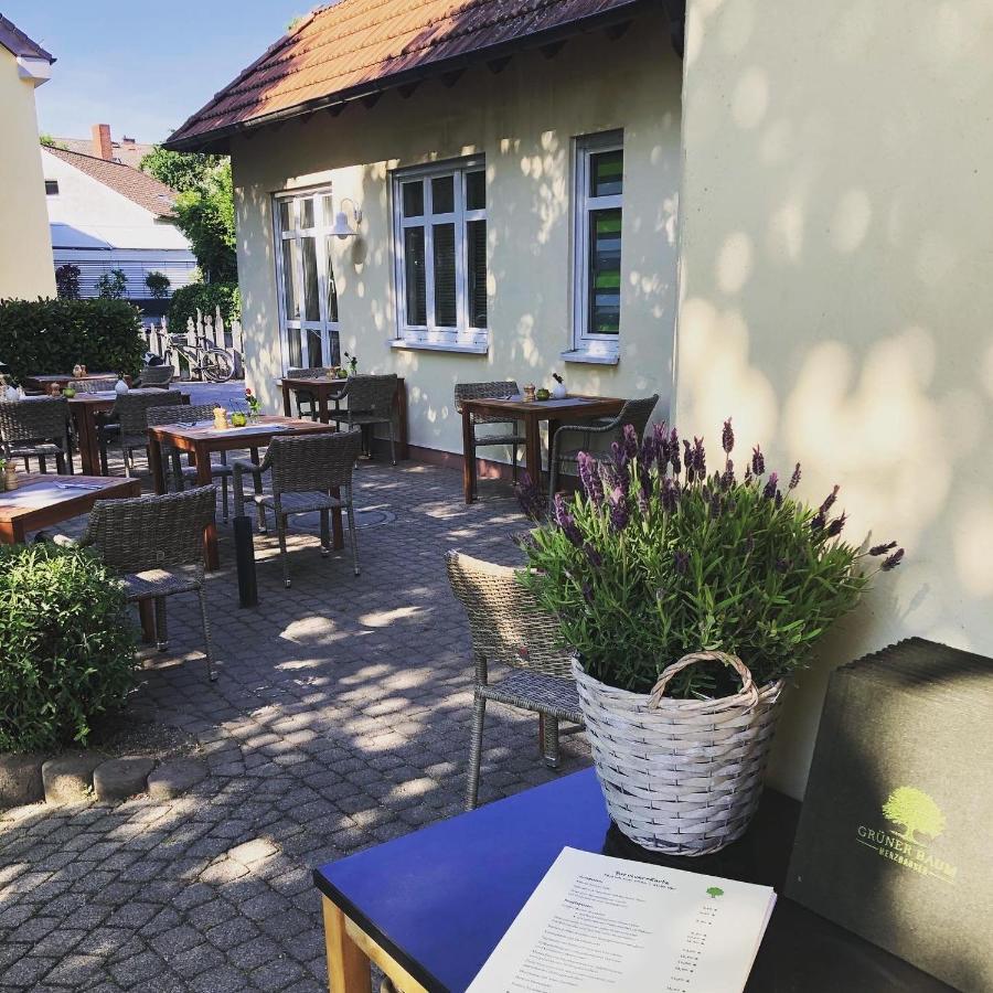 Grüner Baum Merzhausen Exterior foto